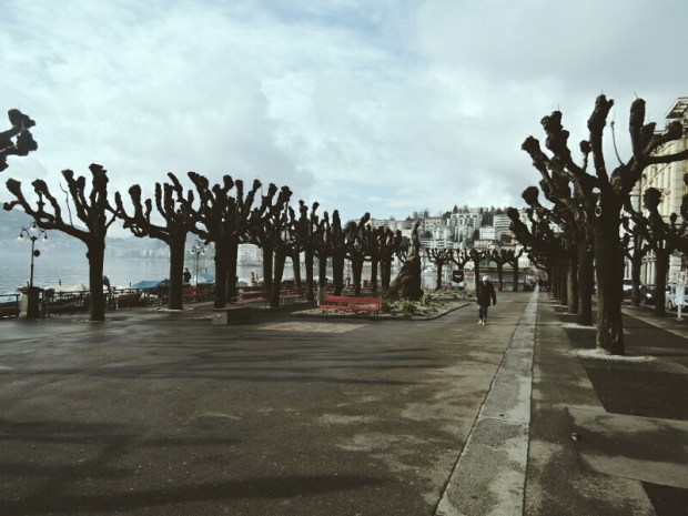 Processed with VSCO with m3 preset