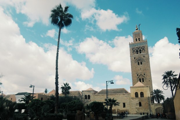 Processed with VSCO with g3 preset