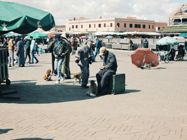 Processed with VSCO with g3 preset