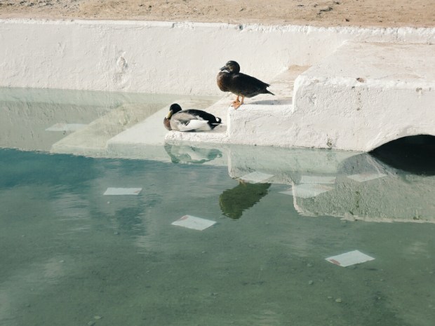 Processed with VSCO with g3 preset