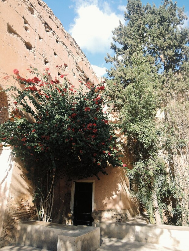 Processed with VSCO with g3 preset