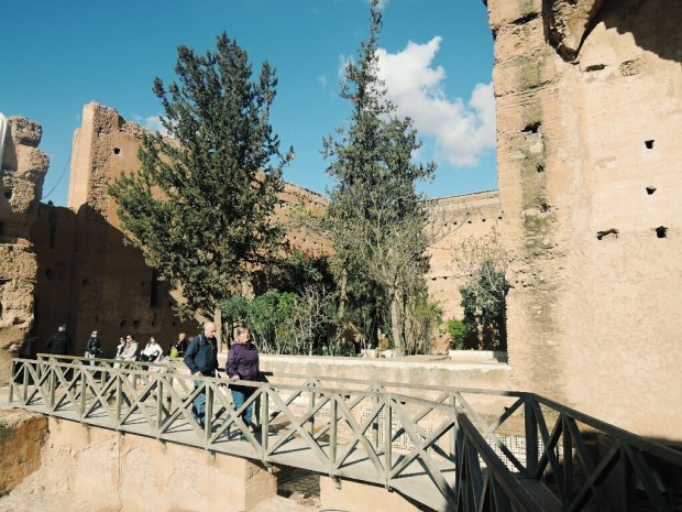 Processed with VSCO with g3 preset