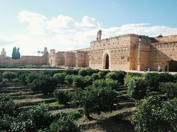 Processed with VSCO with g3 preset