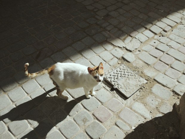 Processed with VSCO with m3 preset