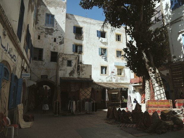 Processed with VSCO with m3 preset