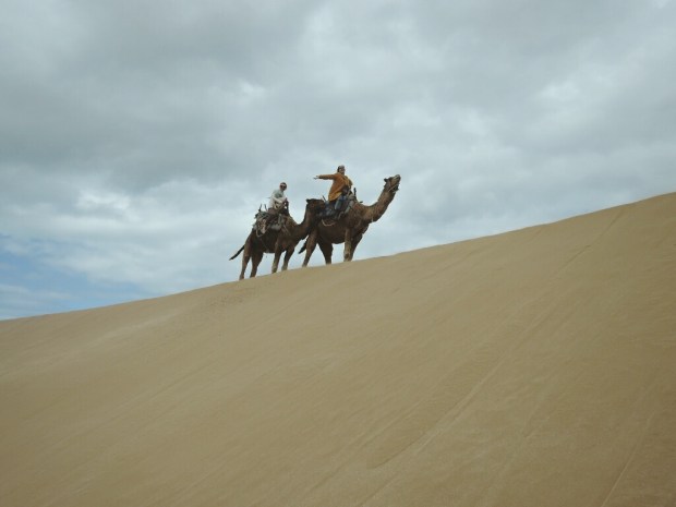 Processed with VSCO with m3 preset