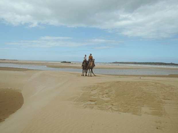 Processed with VSCO with m3 preset