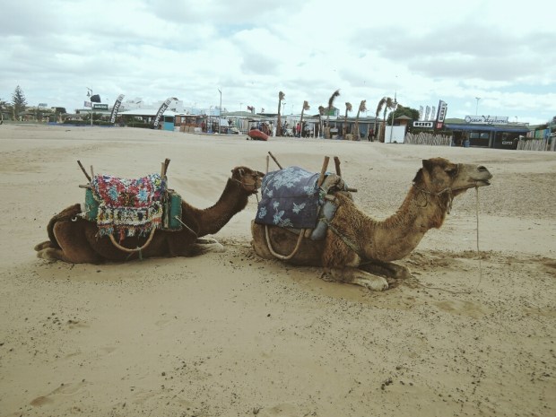 Processed with VSCO with m3 preset