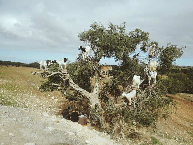 Processed with VSCO with m3 preset