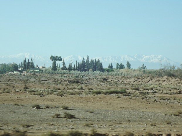 Processed with VSCO with m3 preset